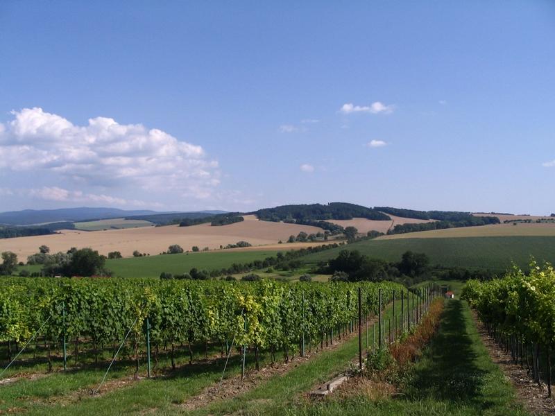 Mikroregion Ostrožsko-Veselsko