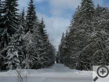 Pár kilometrů od centra světoznámých lázní si připadáte jako v zimní pohádce