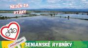 Senianské rybníky